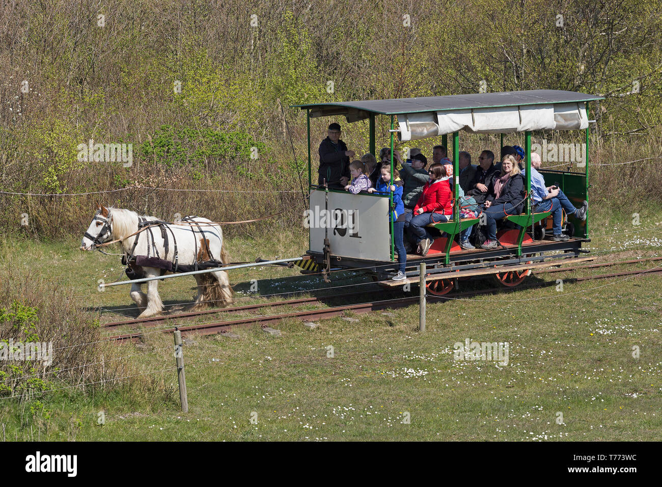Pferdekutschen- Straßenbahn, Spiekeroog Insel, Ostfriesland, Niedersachsen, Deutschland Stockfoto