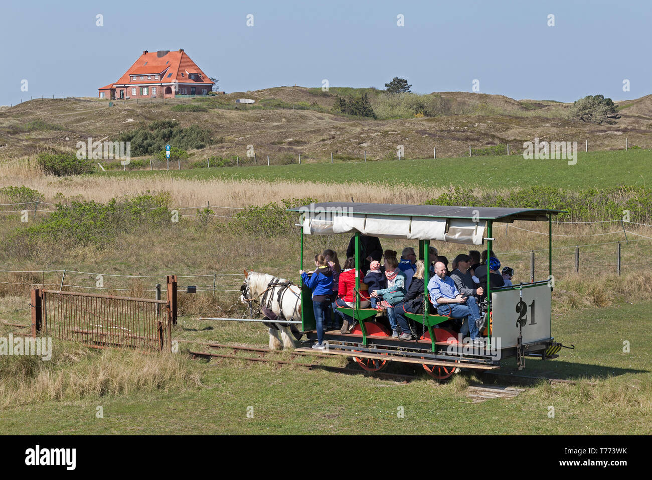 Pferdekutschen- Straßenbahn, Spiekeroog Insel, Ostfriesland, Niedersachsen, Deutschland Stockfoto