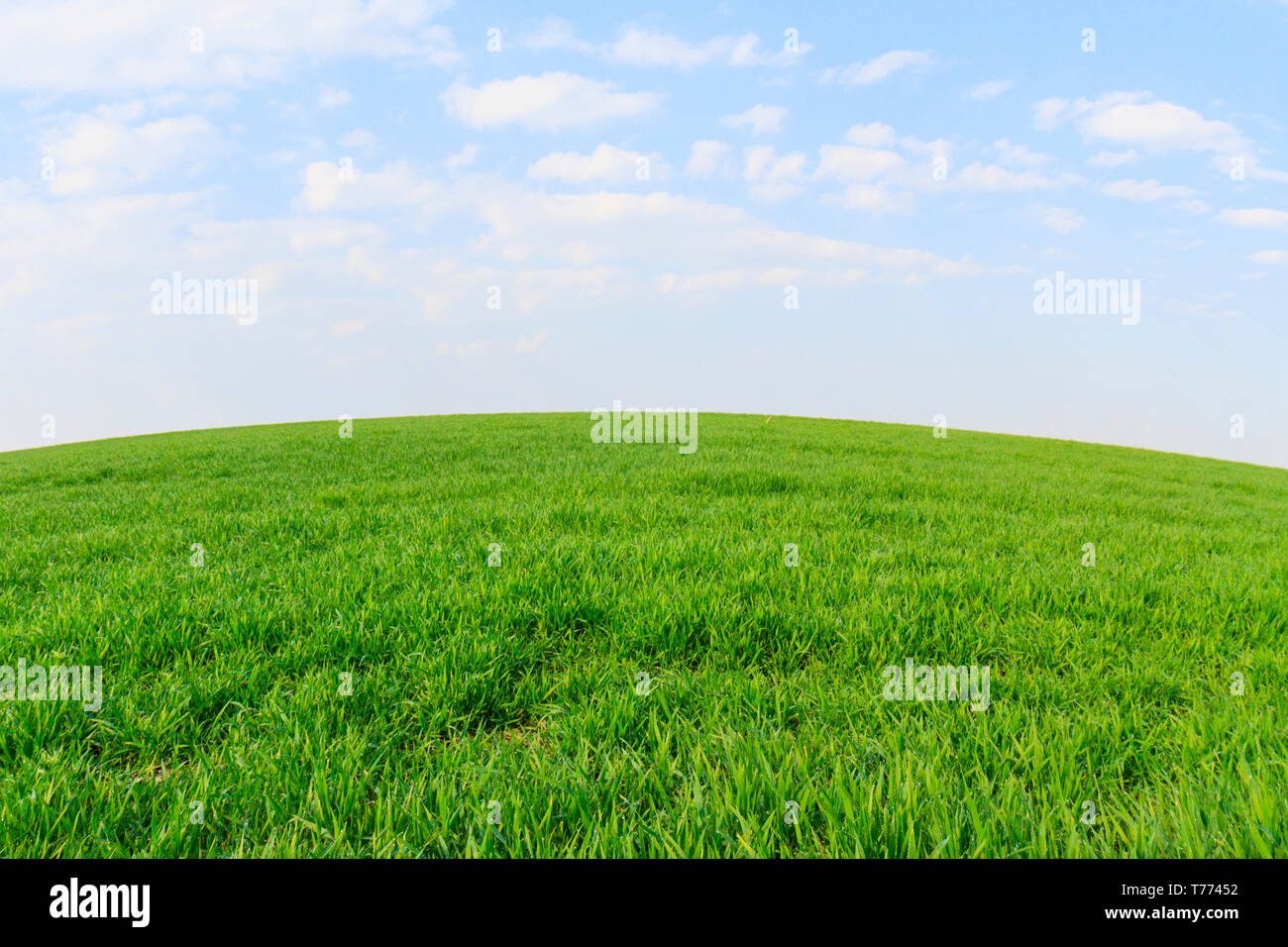 Classic Screensaver für den Computer, grüne Hügel und blauer Himmel, Wechsel der Jahreszeit, Feder Stockfoto