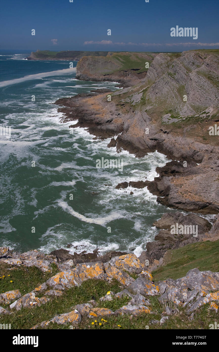 Roten Kammer Klippen, Thurba, Gower Peninsula, South Wales Stockfoto