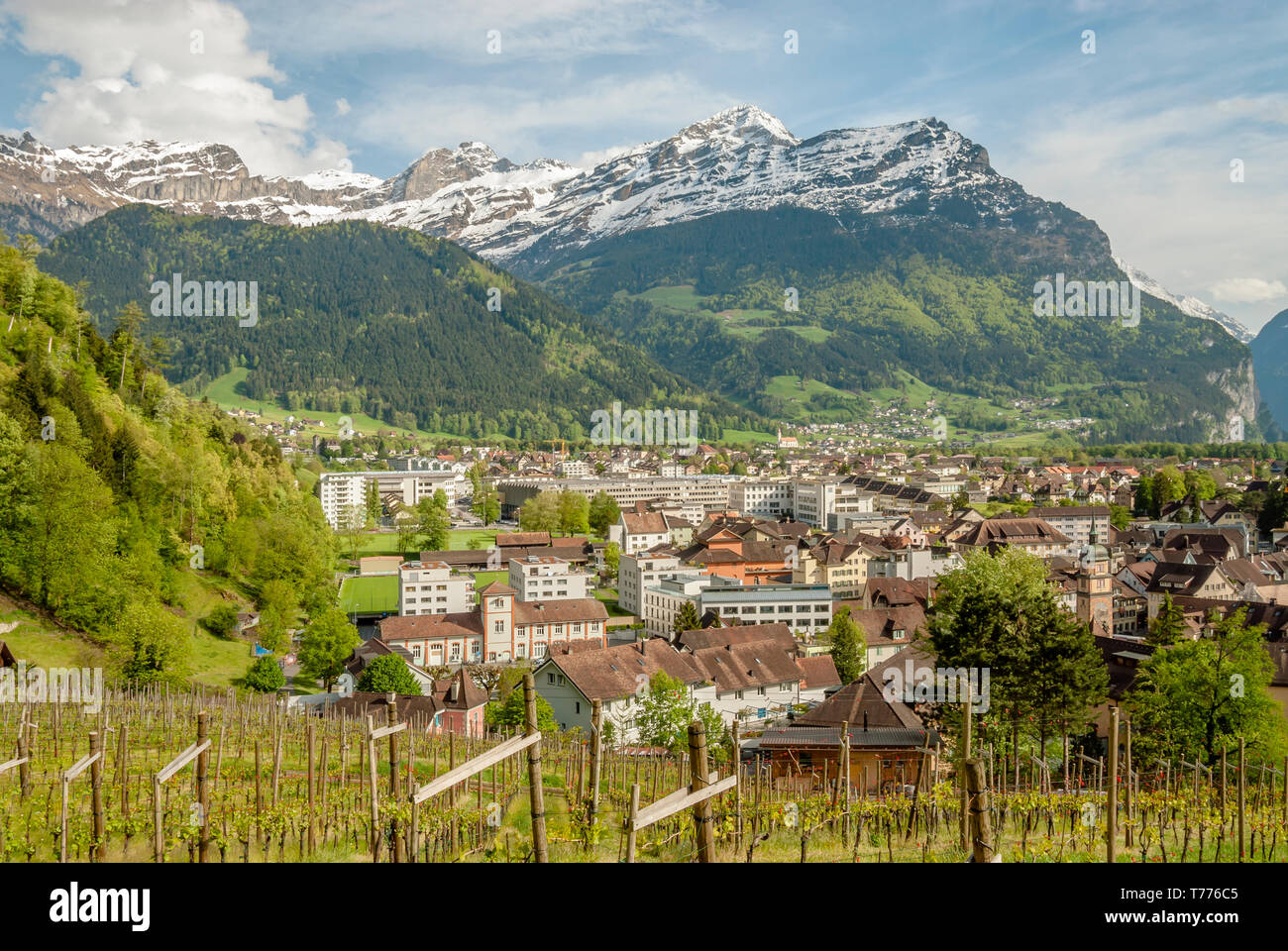 Blick über Altdorf am Vierwaldstättersee, Zentralschweiz Stockfoto