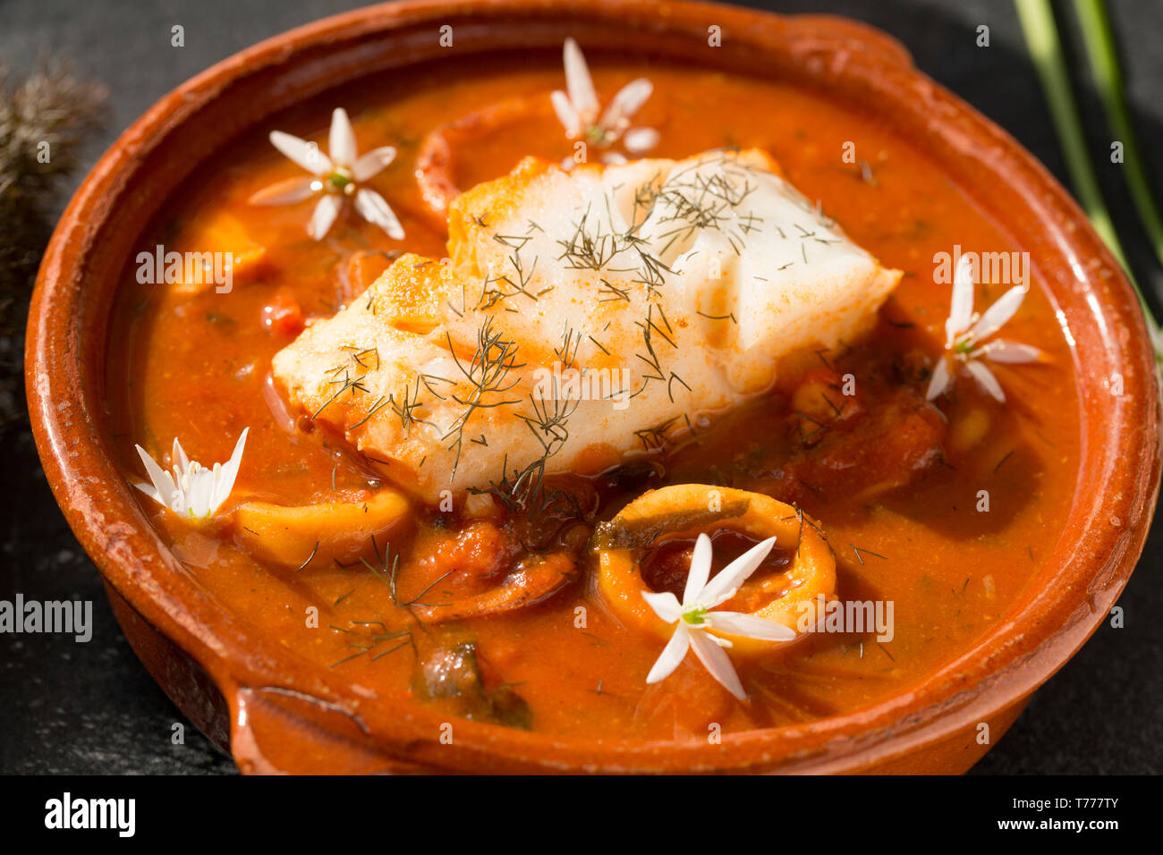 Eine Schüssel Fischeintopf mit Pollack Pollachius pollachius, und squid, Loligo vulgaris. Beide gefangen auf der Stange und Line in den Ärmelkanal. Sie hav Stockfoto