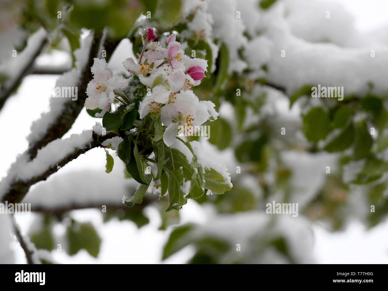 Garmisch Partenkirchen Deutschland 05 Mai 2019 Schnee