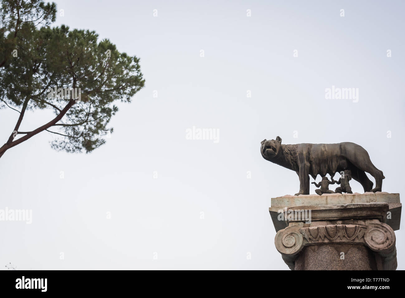 Statue des historischen Legende von Romulus und Remus von der Wolf in Rom Italien zugeführt Stockfoto
