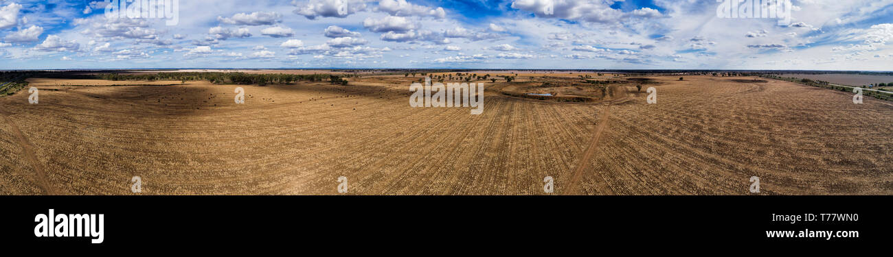 Endlose flache Ebenen des gepflegten Landwirtschaft Ackerland um Moree regionale Stadt in Narrabri Shire - Zentrum der artesischen Beckens. Breite Antenne Panorama. Stockfoto