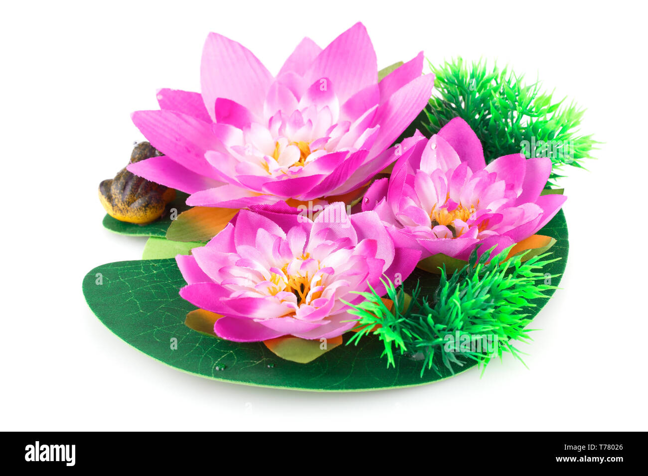 Pink Lotus Blumen und Frosch auf weißem Hintergrund. Stockfoto
