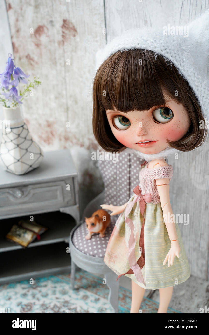 Schöne Puppe in einer Puppe Haus, individuelle Blythe doll Stockfoto