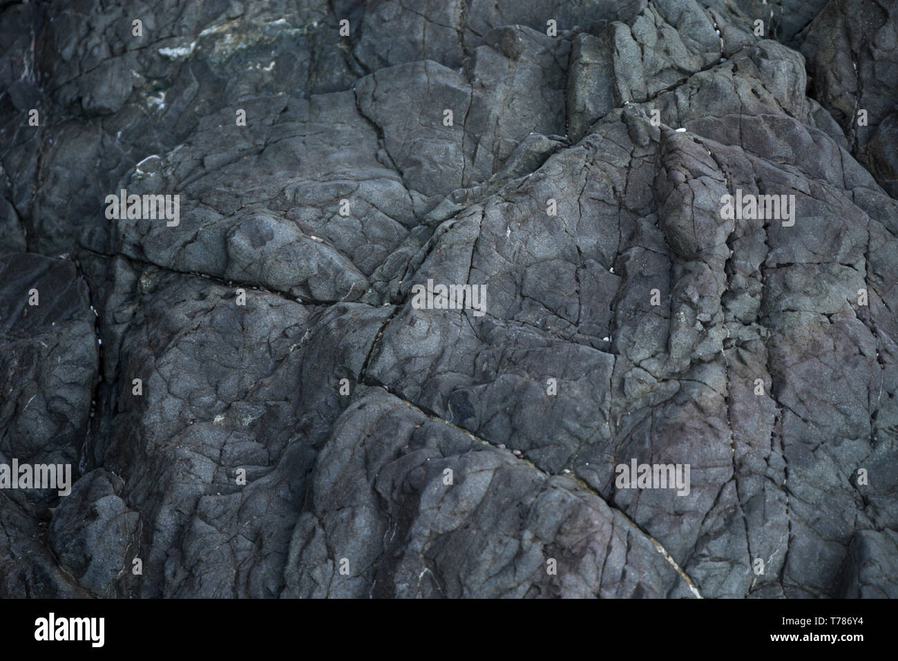 Grau grünlich Stein Textur Hintergrund Stockfoto