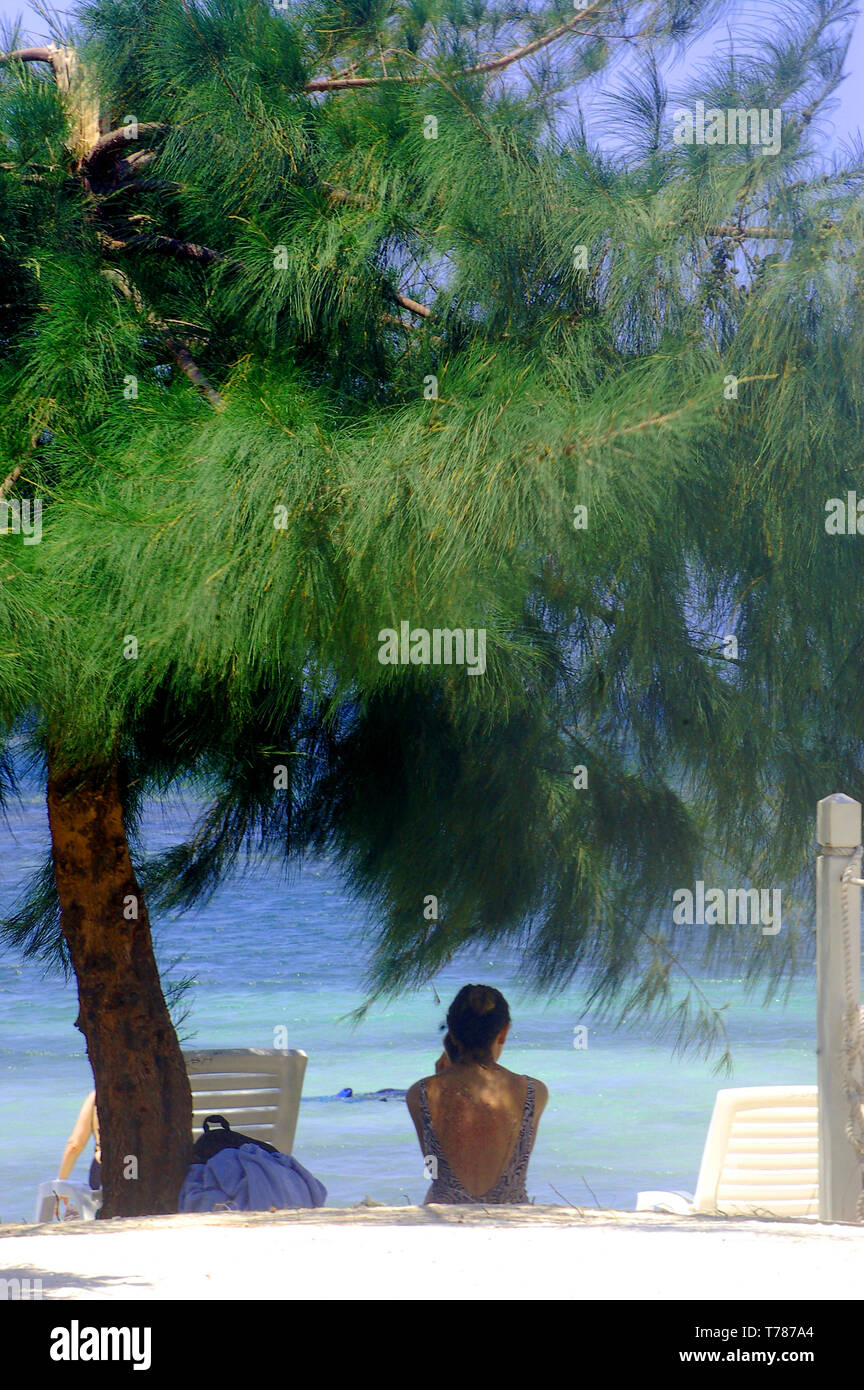 Ein Urlauber sitzt im Schatten mit Blick auf den türkis Wasser an einem der Strände in Roatan Honduras Foto von Bill belknap Stockfoto