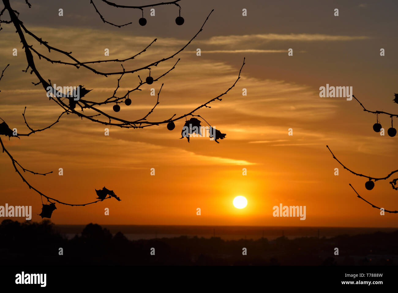 Florida Landschaft und Natur Bilder Stockfoto