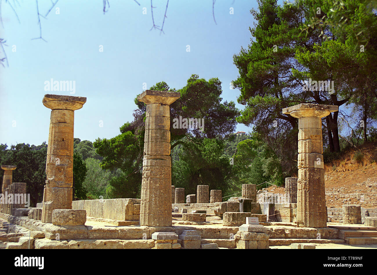 Alten dorischen Säulen im Tempel der Hera, Olympia, Peloponnes, Griechenland Stockfoto