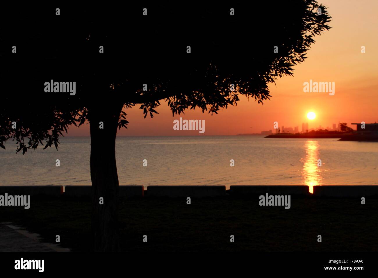 Die aufgehende Sonne Stockfoto