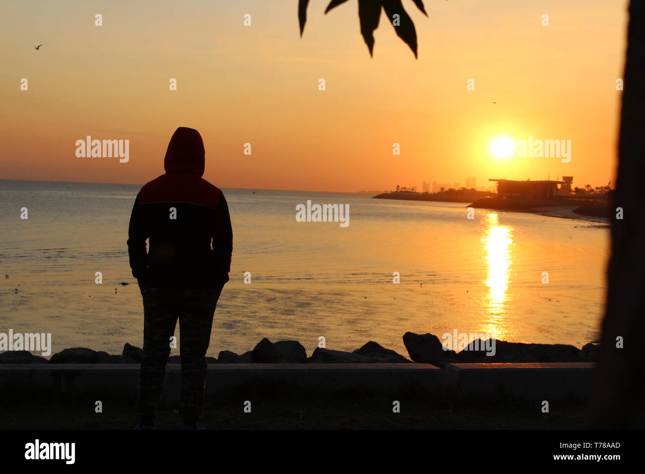 Die aufgehende Sonne Stockfoto