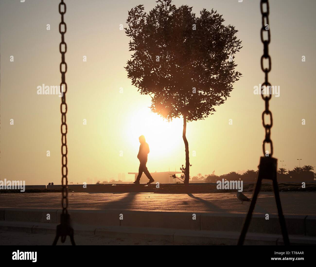 Die aufgehende Sonne Stockfoto