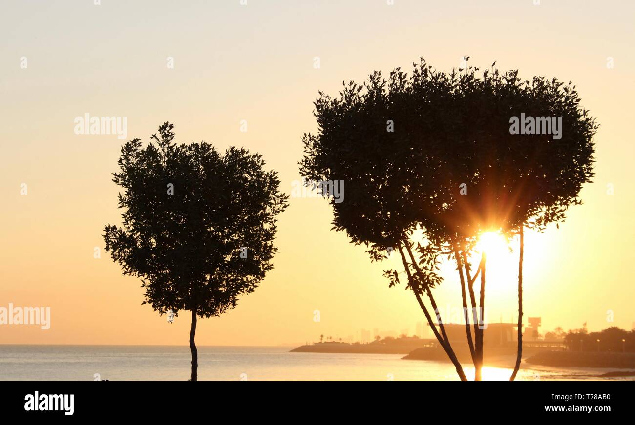 Die aufgehende Sonne Stockfoto