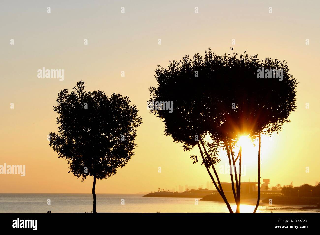 Die aufgehende Sonne Stockfoto