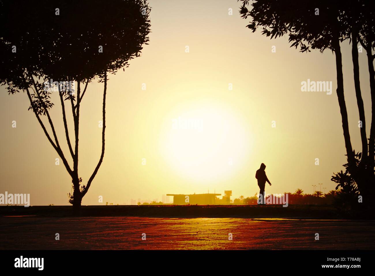 Die aufgehende Sonne Stockfoto