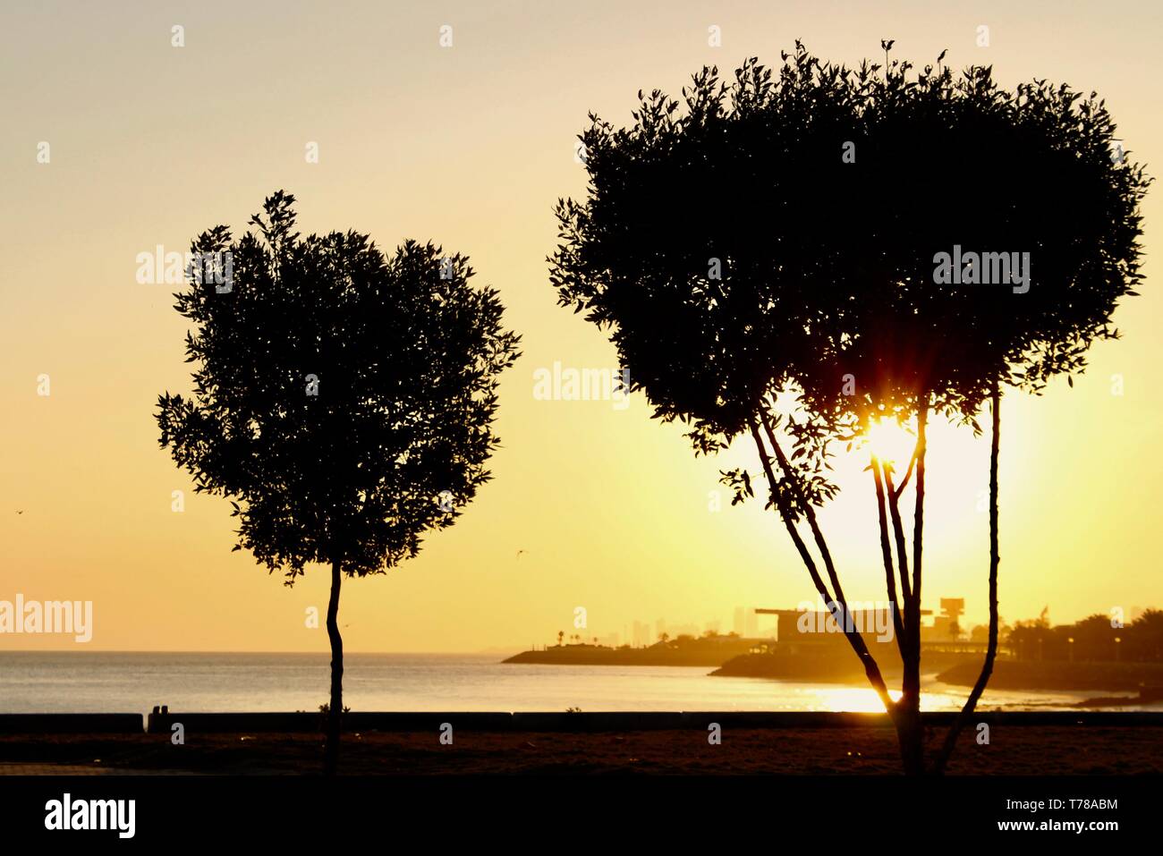 Die aufgehende Sonne Stockfoto
