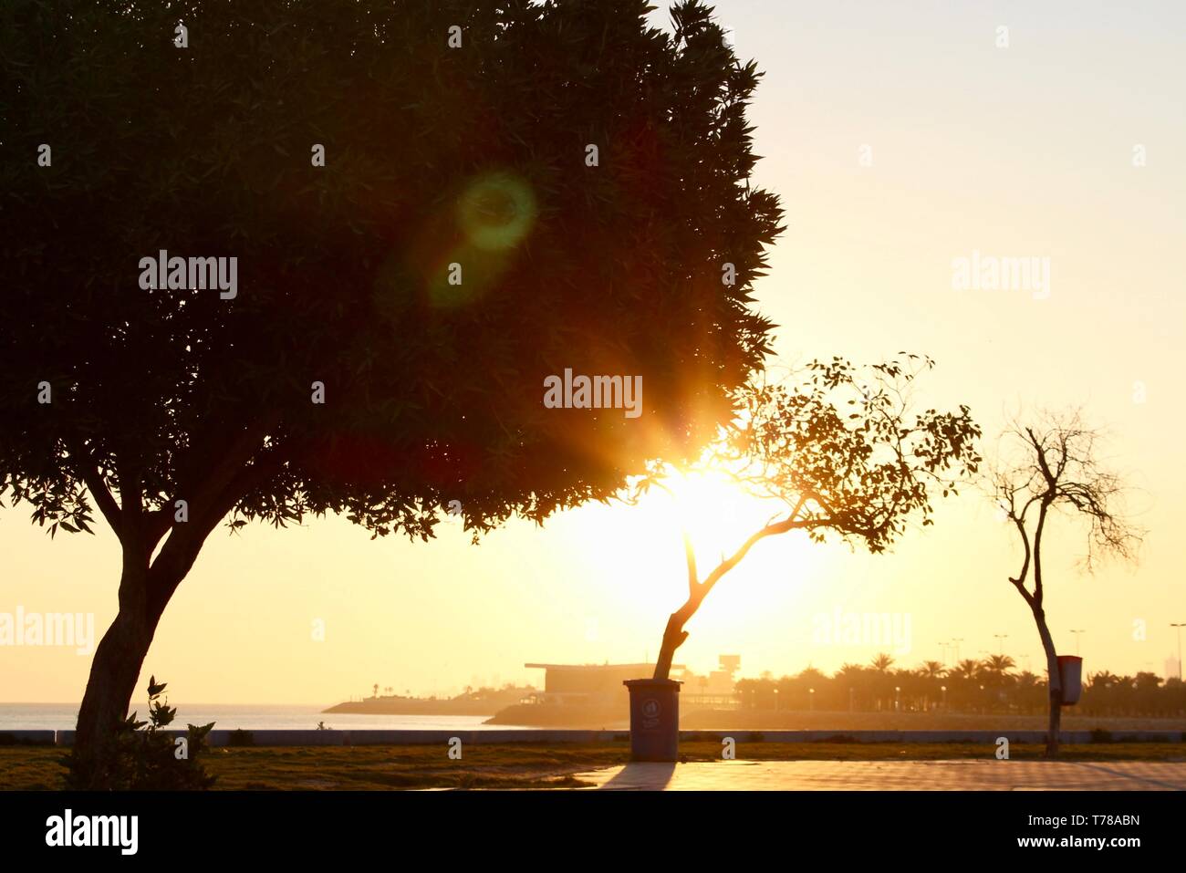 Die aufgehende Sonne Stockfoto