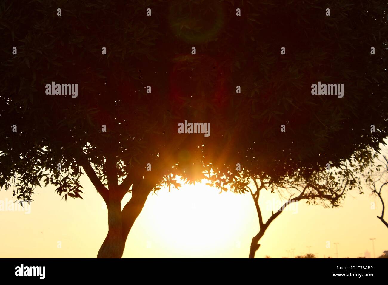 Die aufgehende Sonne Stockfoto