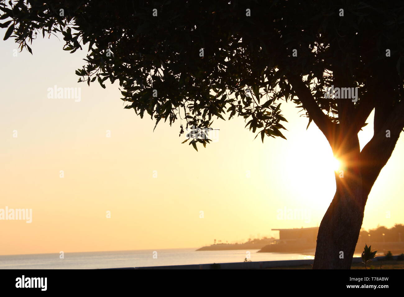Die aufgehende Sonne Stockfoto