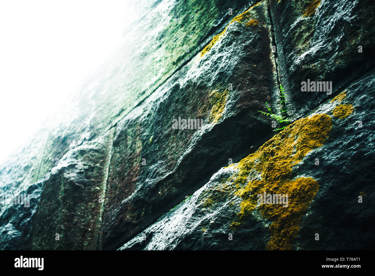 Steinmauer Stockfoto
