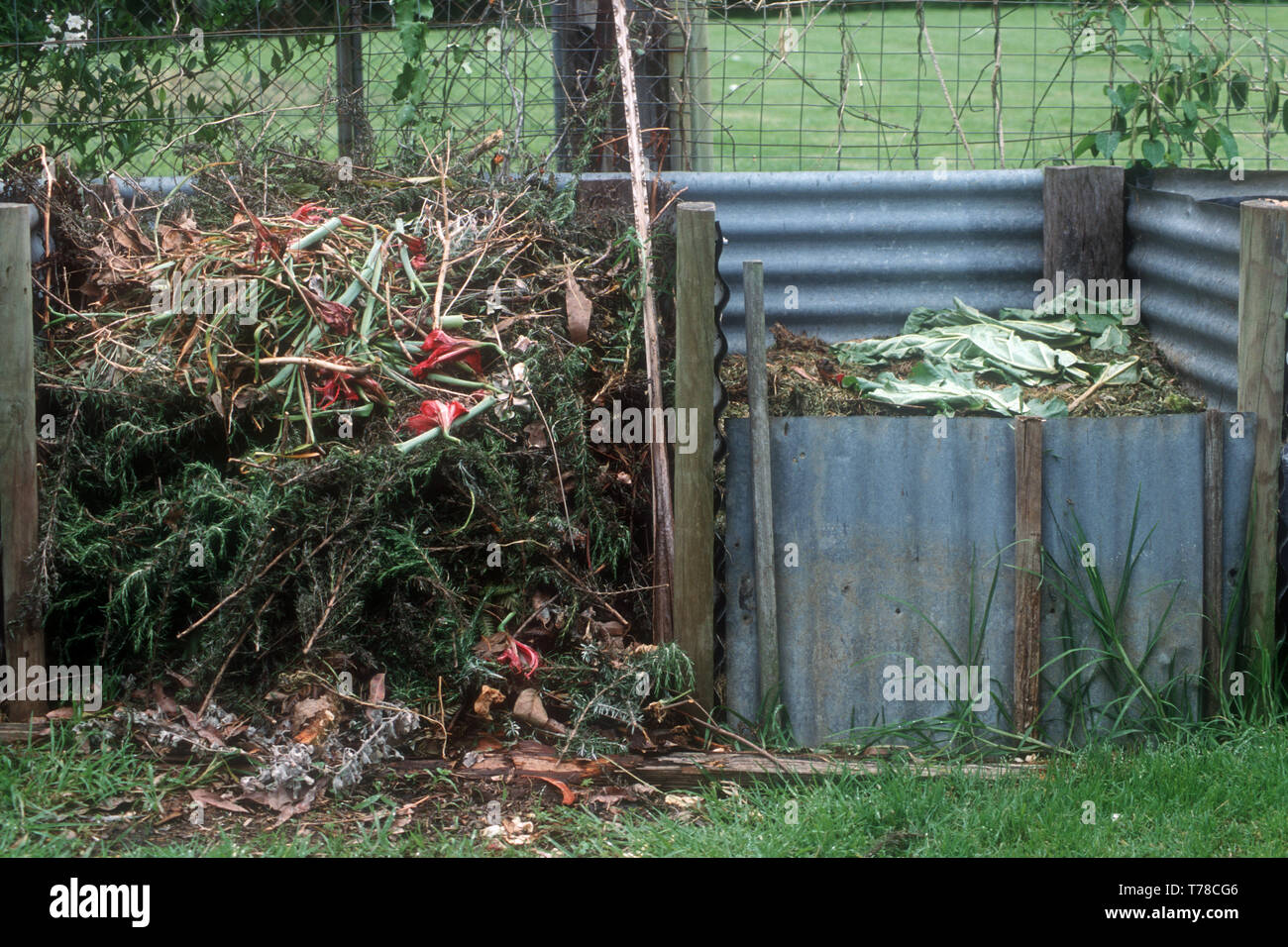 HAUSGEMACHTE KOMPOSTBEHÄLTER AUS HOLZ UND WELLBLECH. AUSTRALIEN. Stockfoto