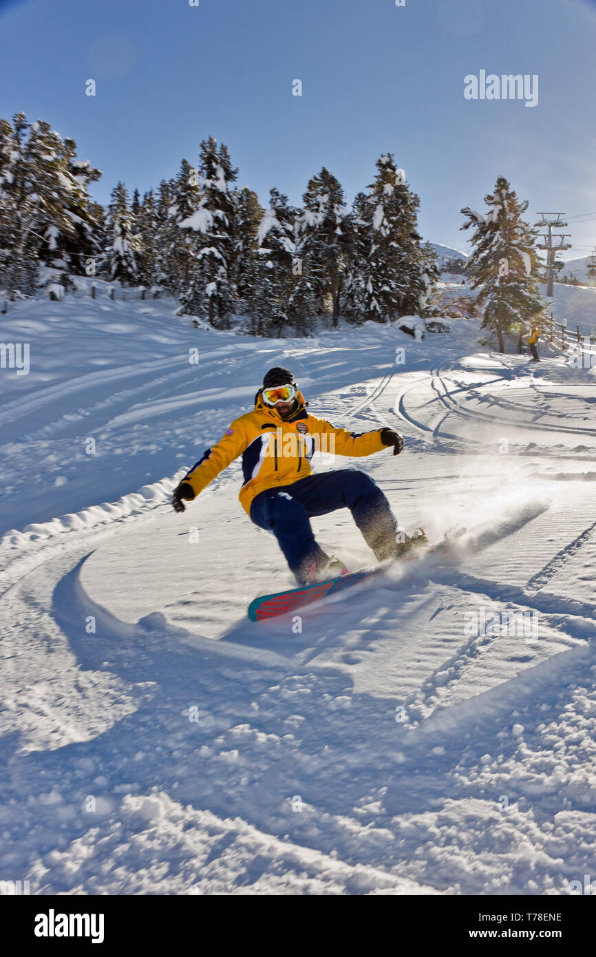 Bormio 2000, scuola italiana di Sci Gallo Cedrone: Maestro di Snowboard [ENG] Bormio 2000, Italienische Skischule "Gallo Cedrone': Snowboard Lehrer. Stockfoto