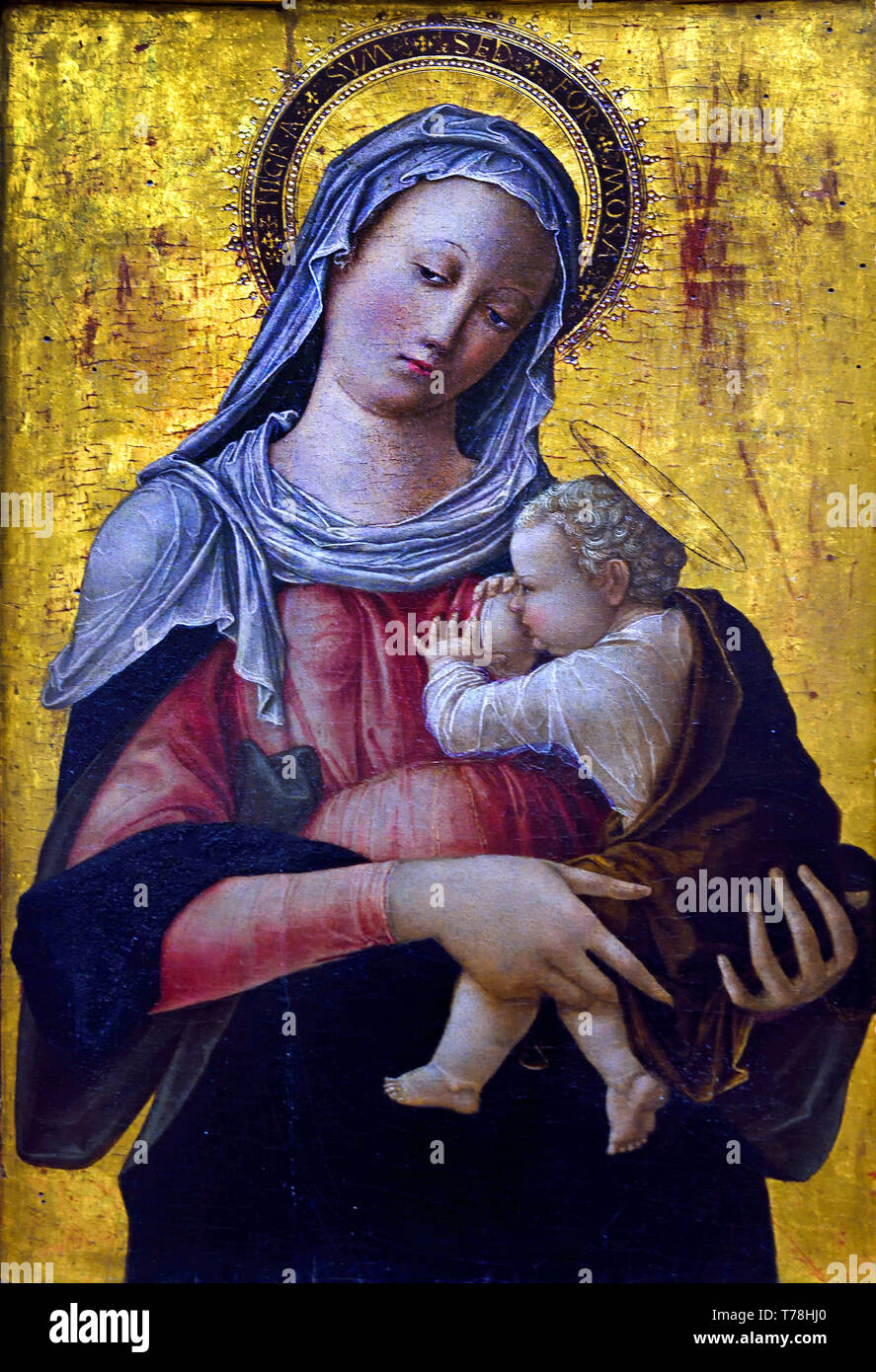 Die Jungfrau Stillt das Kind um 1450 - 1455 von Bartolomeo Vivarini Murano (Venedig), 1430-1491 Italienisch, Italien, Stockfoto