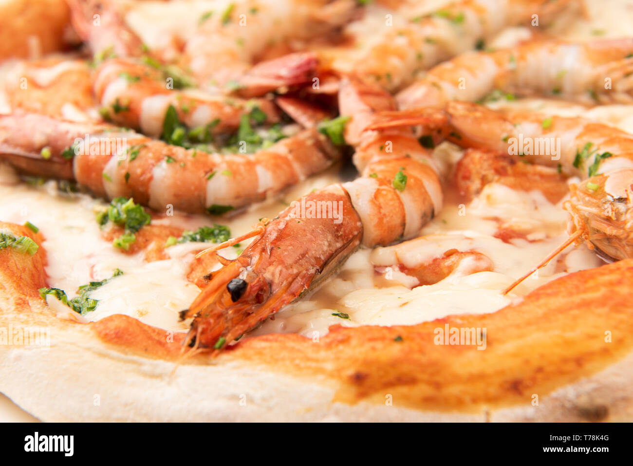 Ganze Pizza mit Meeresfrüchten mit grossen Garnelen Nahaufnahme Stockfoto