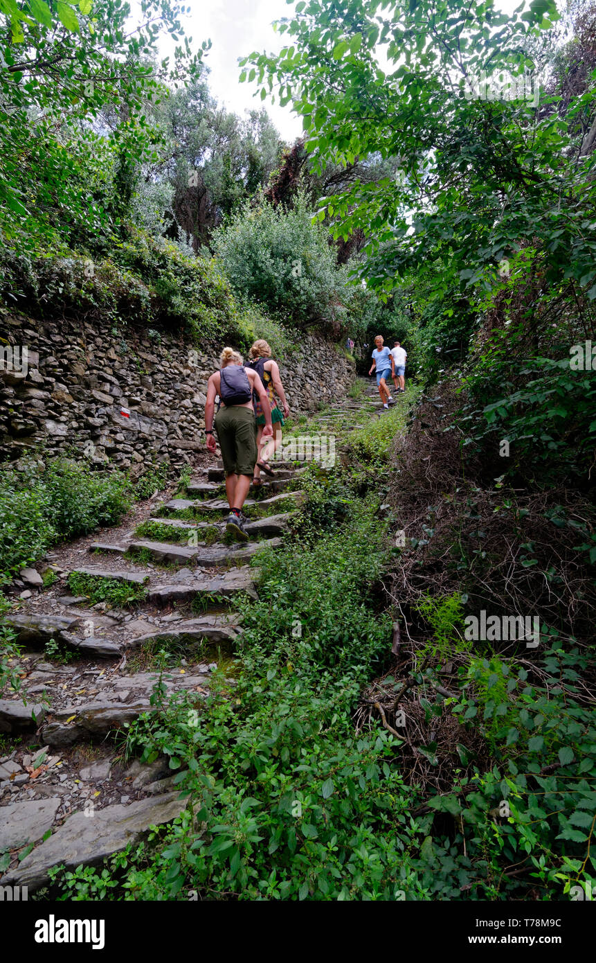 Wandern Cinque Terre Trail, wandern auf einem schmalen Abschnitt zwischen Vernazza und Corniglia Stockfoto