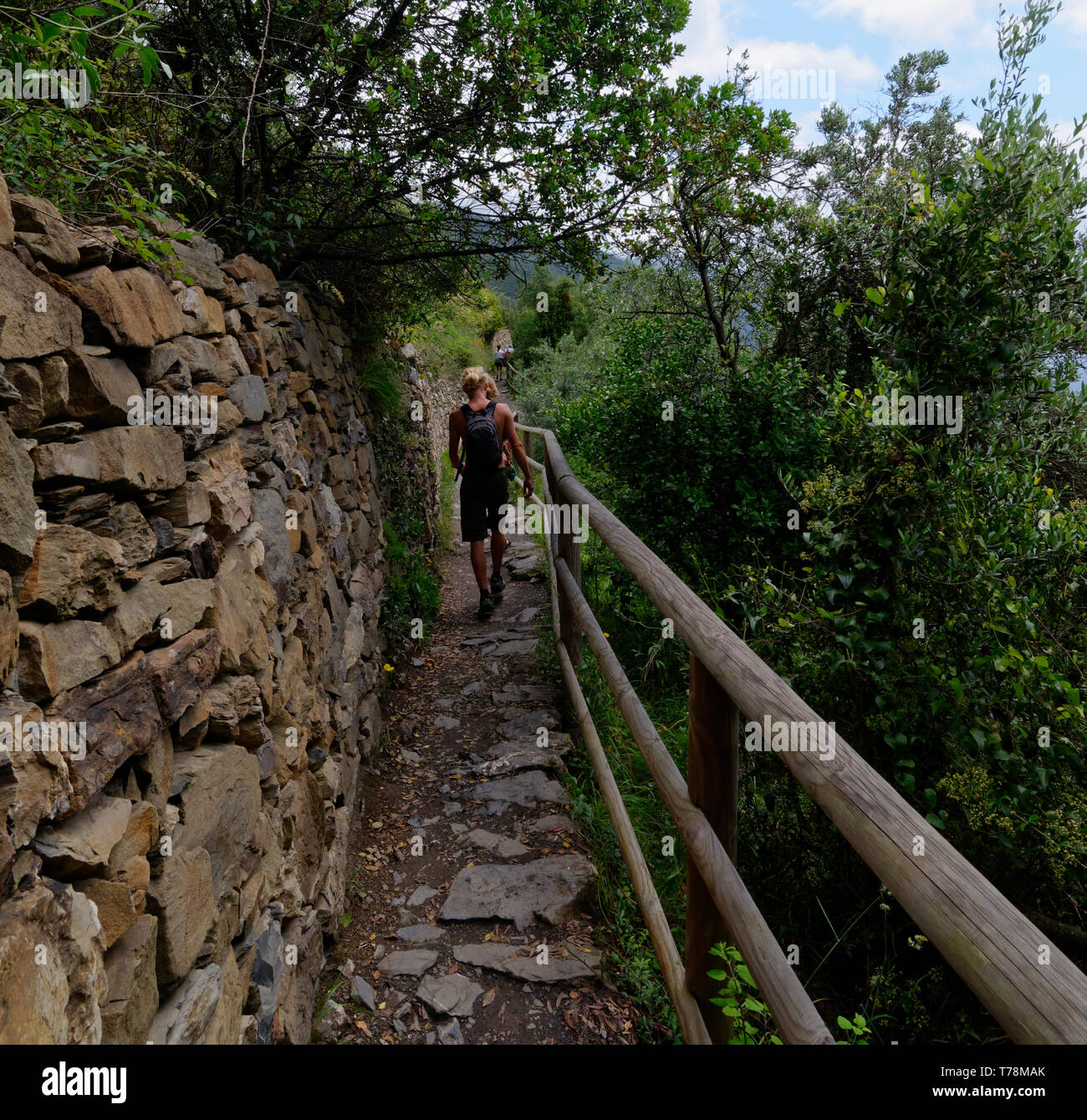 Wandern Cinque Terre Trail, wandern auf einem schmalen Abschnitt zwischen Vernazza und Corniglia Stockfoto