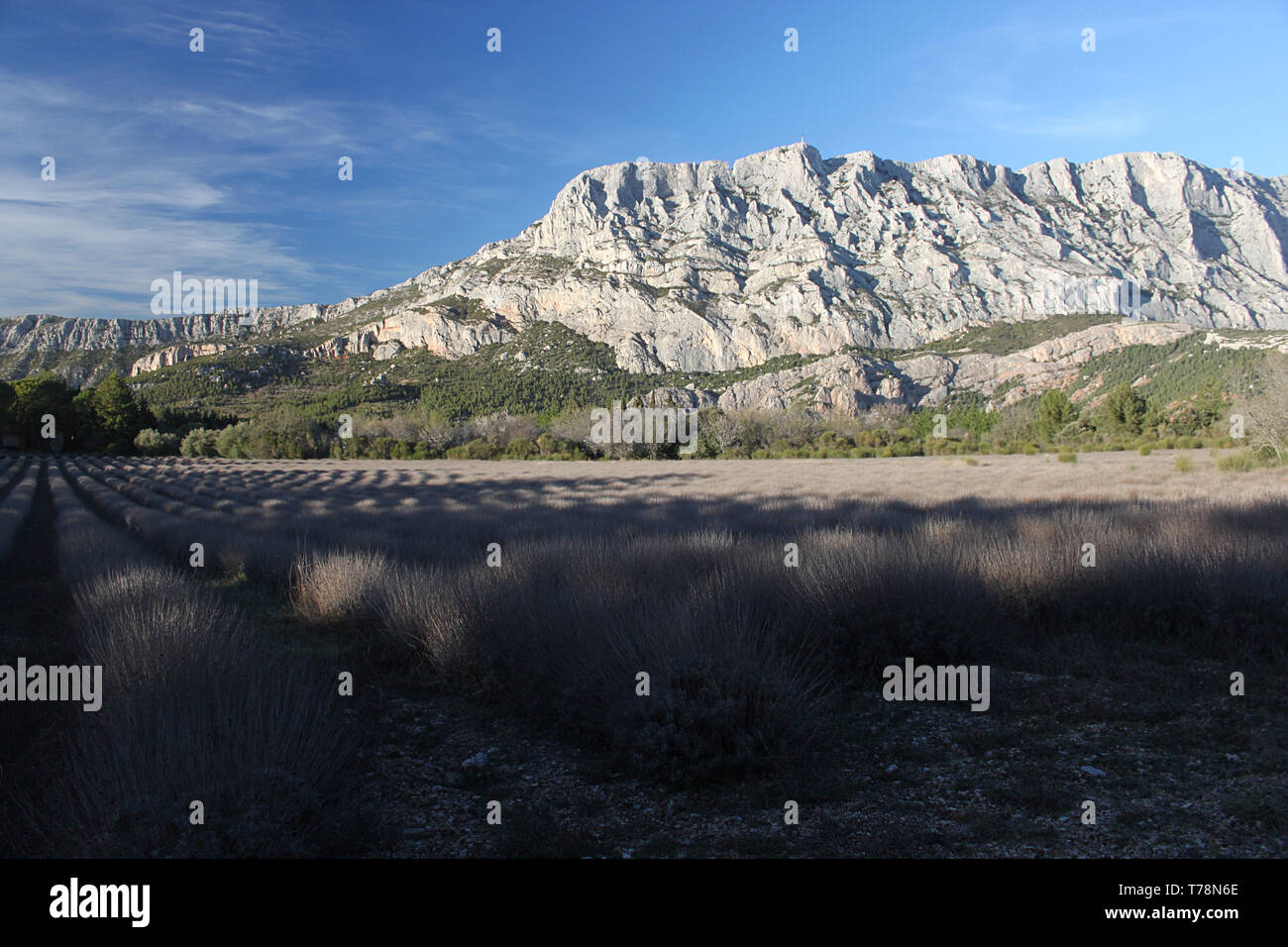 Montagne Sainte Victoire, nördlich von Aix-en-Provence. Es war ein beliebtes Thema der Inspiration für die impressionistischen Maler Paul Cezanne Stockfoto