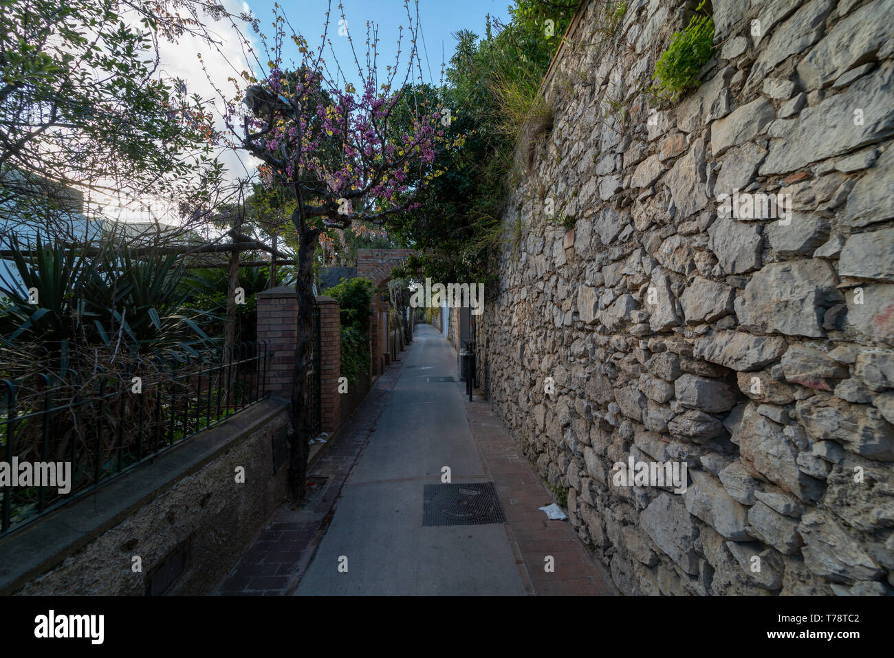 Tragara, Via Tragara, Capri Stockfoto