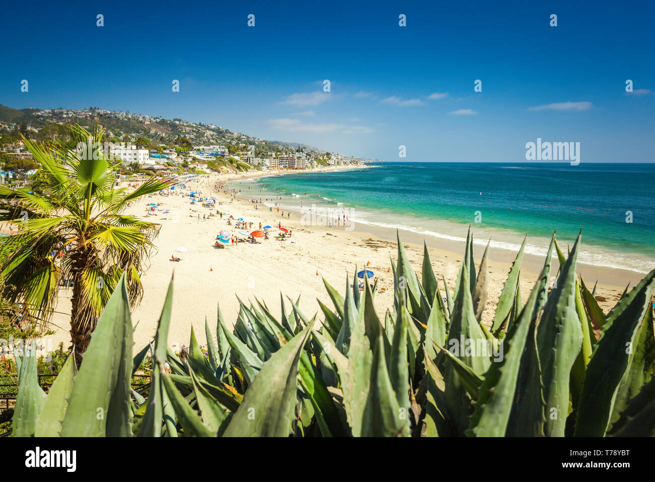 Strand von Laguna Beach, Orange County, Kalifornien. Aloe im Vordergrund ist unscharf Stockfoto