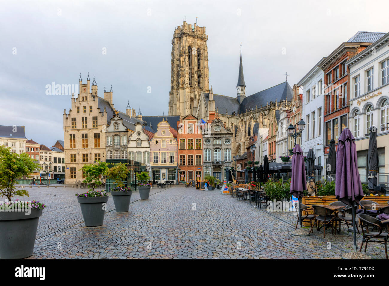 Mechelen, Antwerpen, Belgien, Europa Stockfoto