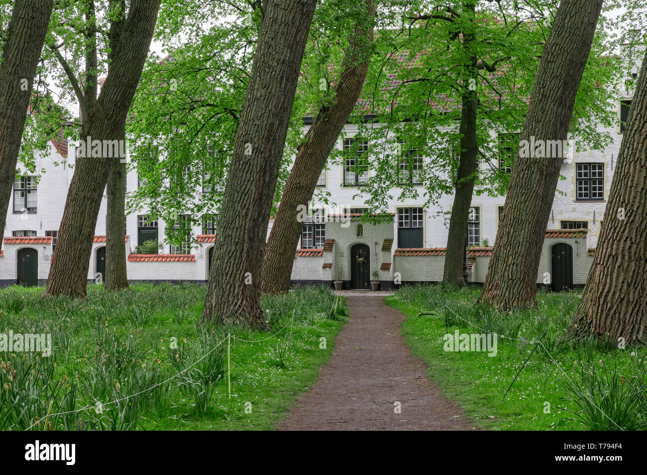 Brügge, Westflandern, Region Flandern, Belgien, Europa Stockfoto