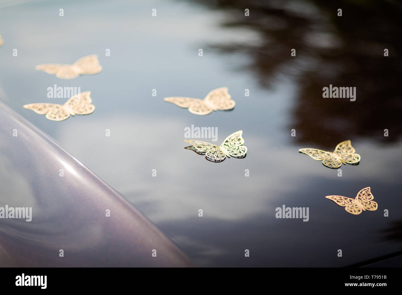 Hochzeit Detail - schönes Auto Dekoration aus Schmetterlinge  Stockfotografie - Alamy
