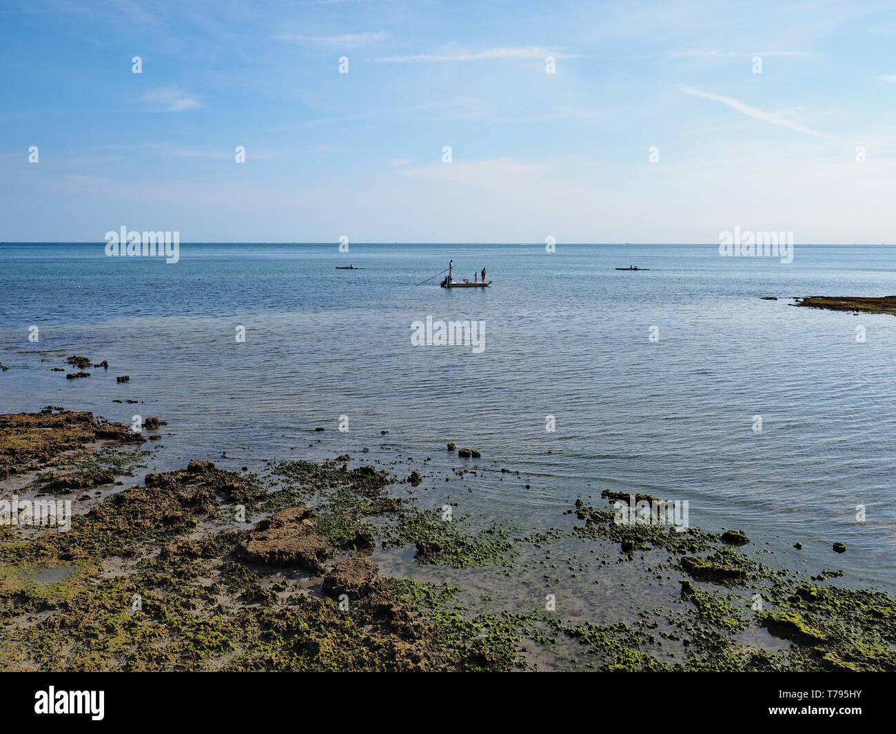 Wohnungen Fischer aus den versteinerten Riff in Bear Schnitt auf Key Biscayne, Florida, bei Ebbe. Stockfoto