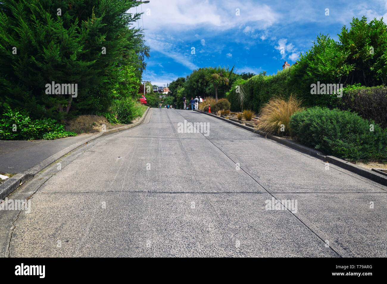 Baldwin Street - der steilsten Straße, Dundein, Neuseeland Stockfoto