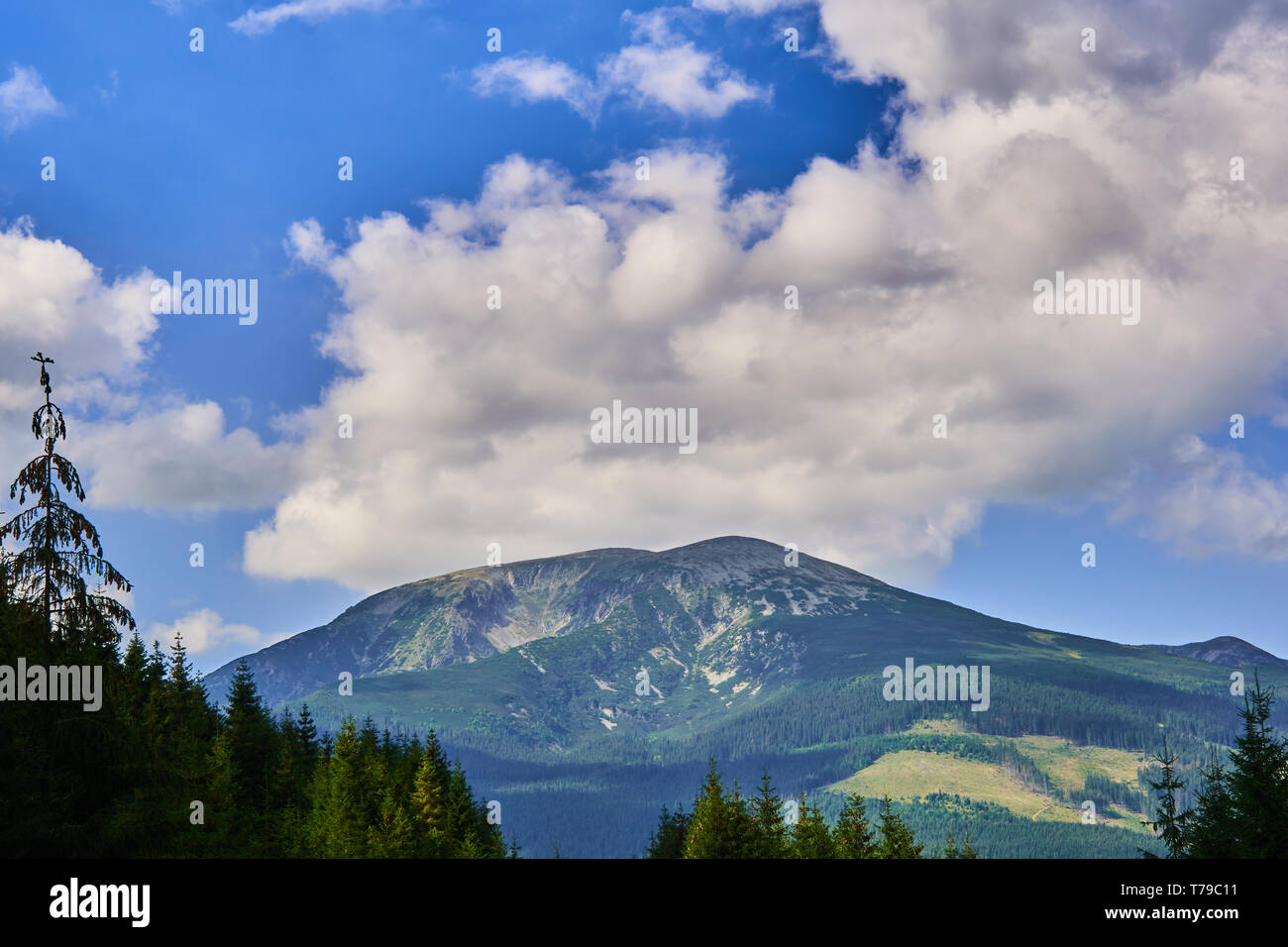 Blauer Himmel über dem Gipfel des Berges und eine Strasse in den Wald mit Tannen Stockfoto