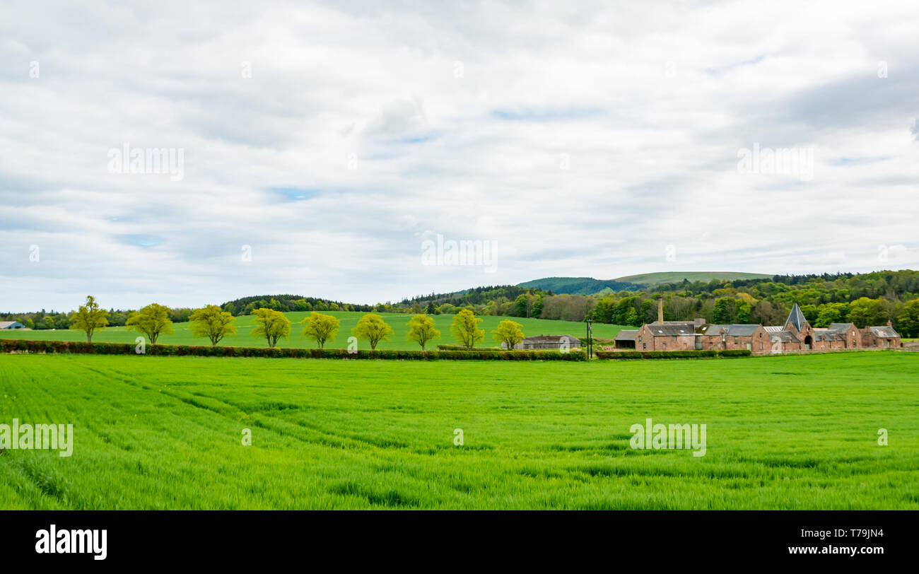 Ländliche Landschaft Blick auf ungewöhnliche alten stillgelegten viktorianischen landwirtschaftlichen Gebäuden, Papple Steading, East Lothian, Schottland, Großbritannien Stockfoto