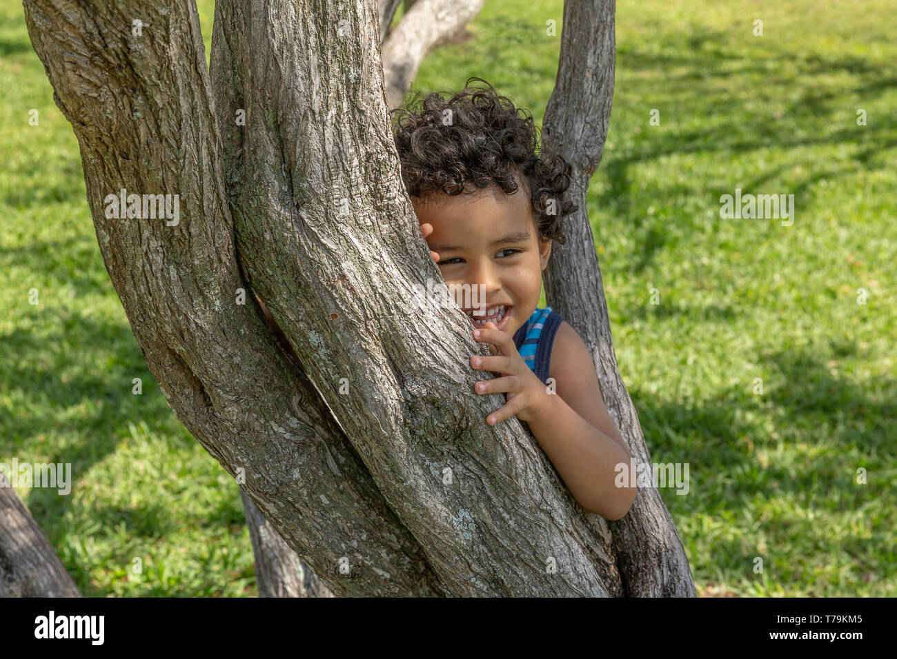 Der kleine Junge schmiegt sich zwischen den Baumstämmen während des Spielens. Eine Community Park mit kleinen Bäumen gefüllt ist ein Sommer Ort für Kinder. Stockfoto