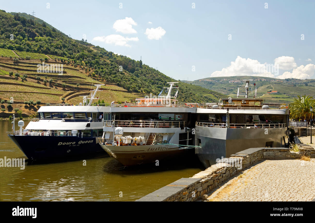 3 Riverboats, angedockt Nebeneinander, Urlaub, Reisen, Touren, Weinberge, Flusskreuzfahrten auf dem Douro, Europa; Pinhoa, Portugal; Feder, horizontal Stockfoto
