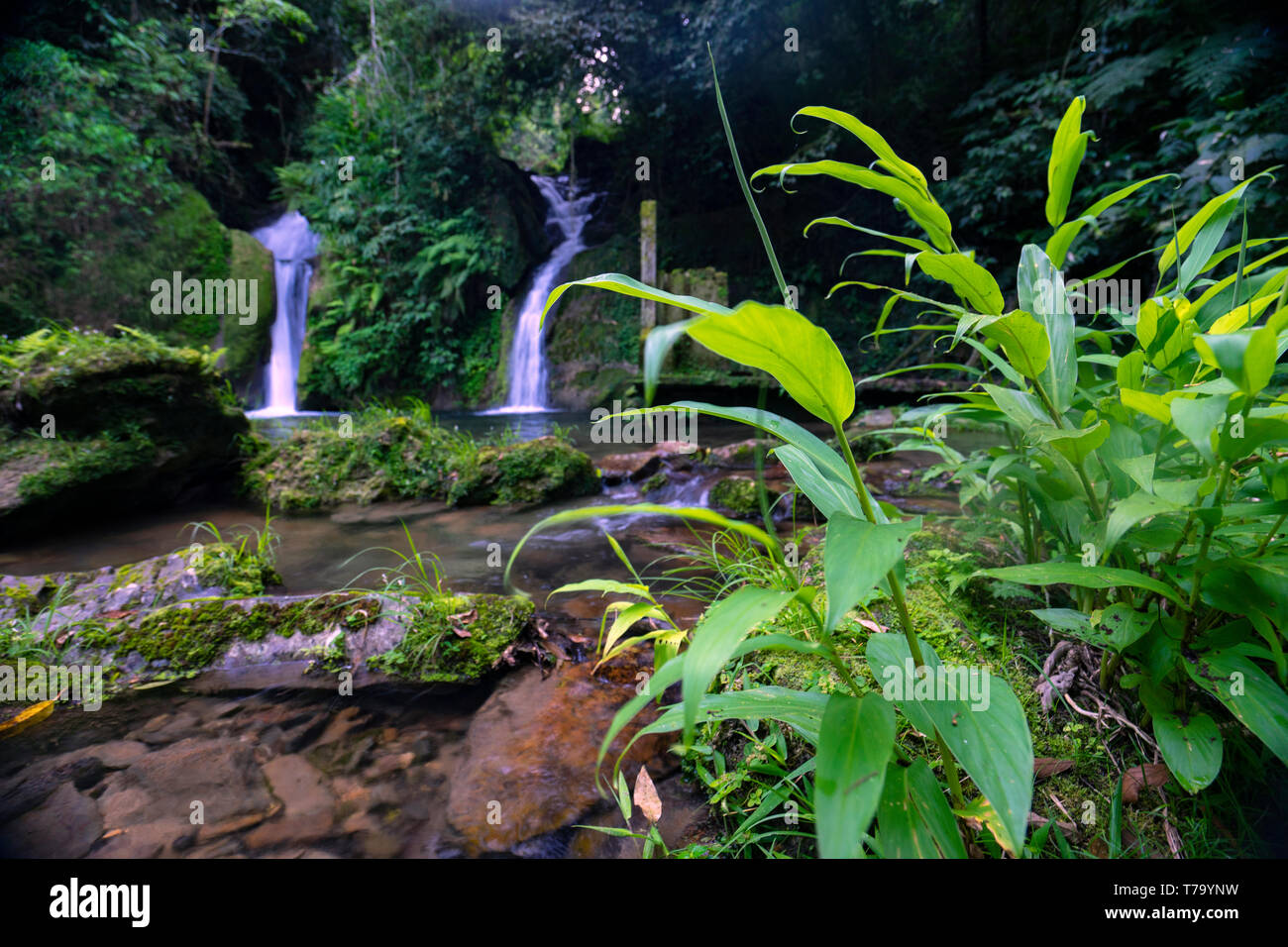 Wasserfall Cachoeira Taquaruvira in Iporanga, Brasilien Stockfoto