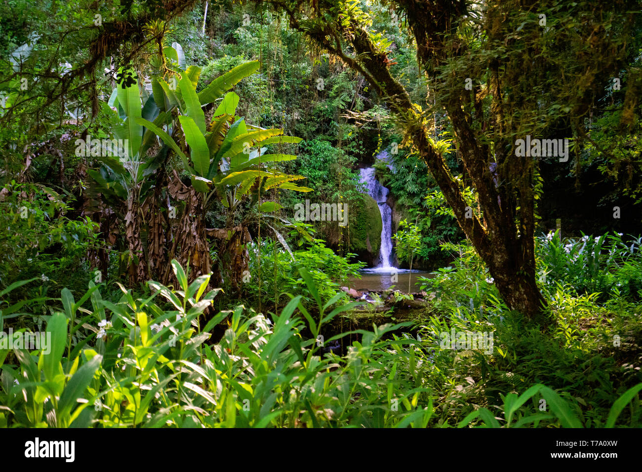 Wasserfall Cachoeira Taquaruvira in Iporanga, Brasilien Stockfoto