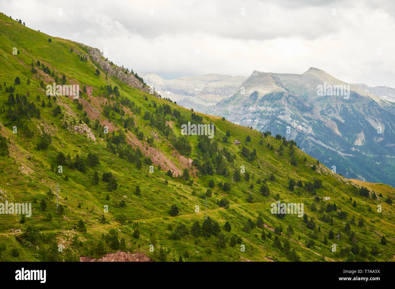 Hügel in der Nähe des Col du Somport Bergpasses mit dem Gipfel La Moleta und dem Kessel Iserías im Hintergrund (Somport, Pyrenäen, Jacetania, Huesca, Aragon, Spanien) Stockfoto