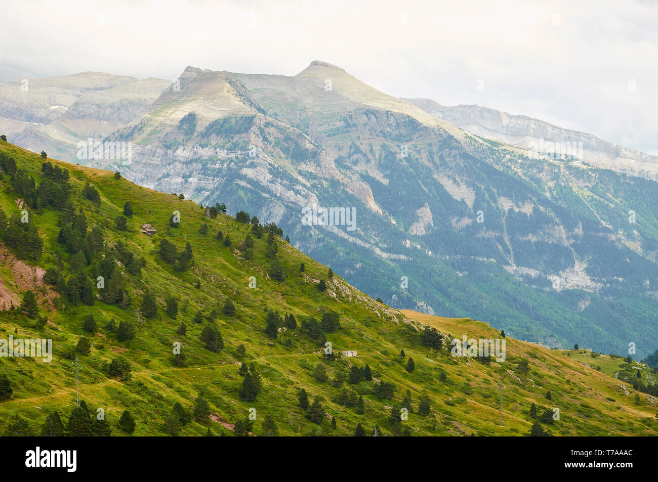 Hügel in der Nähe des Col du Somport Bergpasses mit dem Gipfel La Moleta und dem Kessel Iserías im Hintergrund (Somport, Pyrenäen, Jacetania, Huesca, Aragon, Spanien) Stockfoto