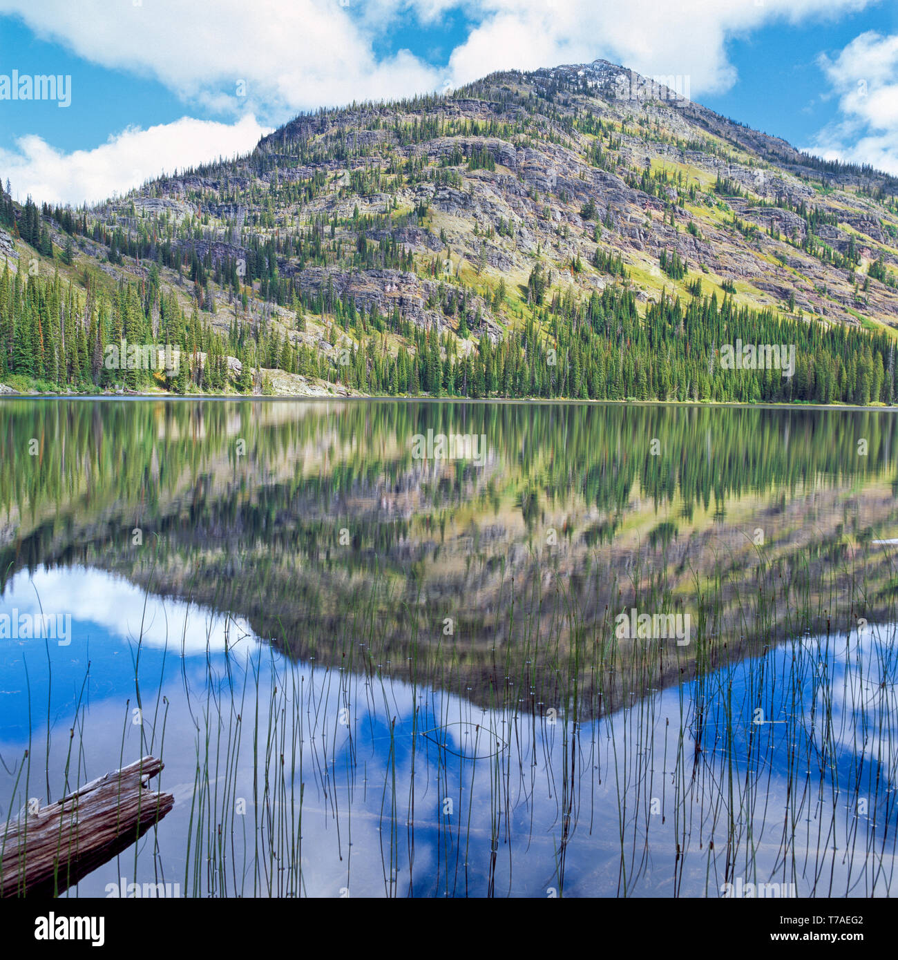 Obere holland See unterhalb Echternach Berg im Swan Range in der Nähe von condon, Montana Stockfoto