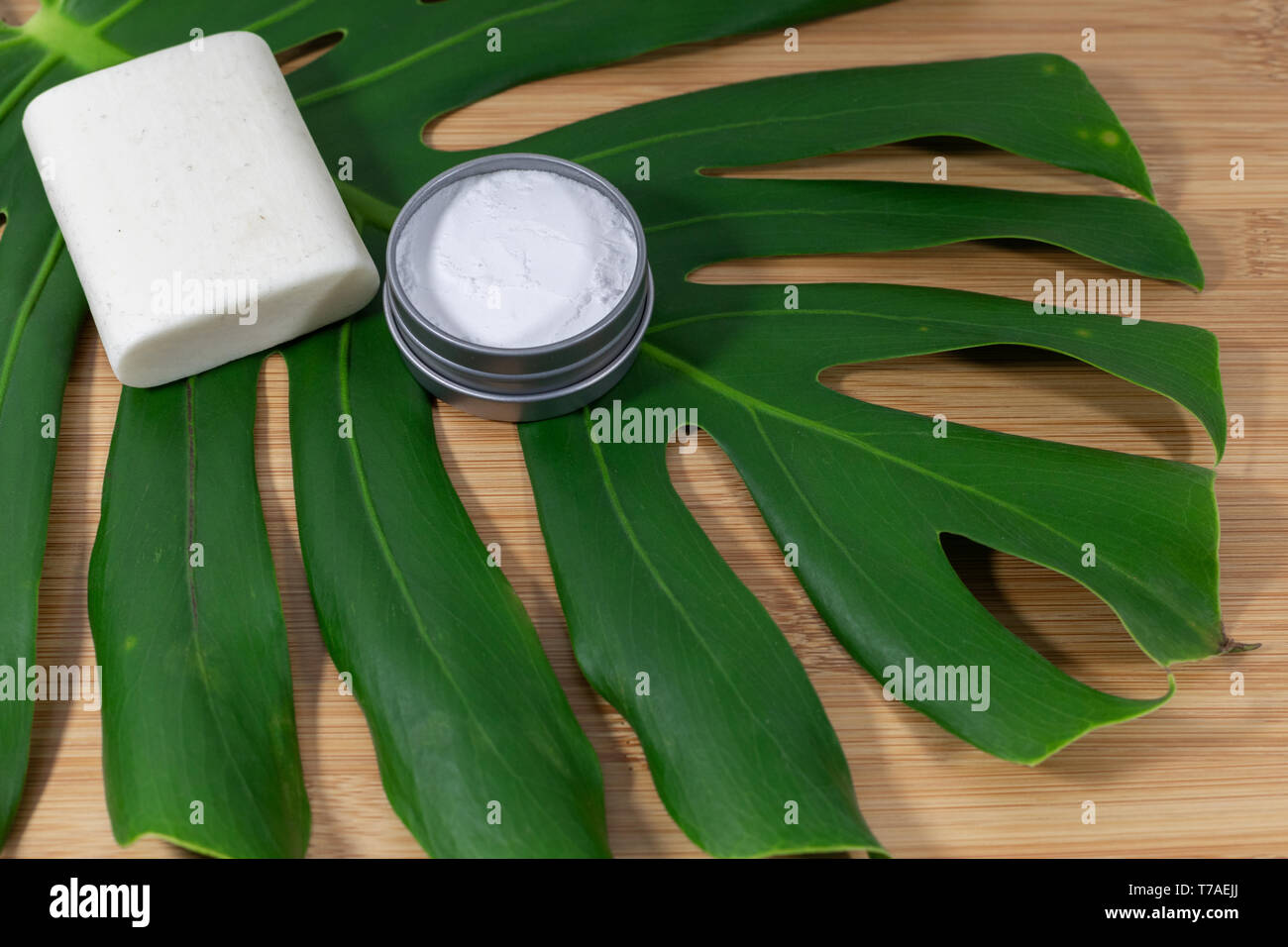 Generic Container von pflanzlichen Schönheit, vegane Lebensweise, saubere Produkte, null Abfall und nachhaltig. Von oben nach unten geschossen, minimale natürliche Thema Stockfoto